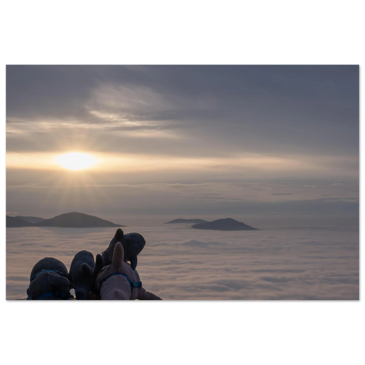 d044d95e-139e-46b8-8a30-3b973c85f89f